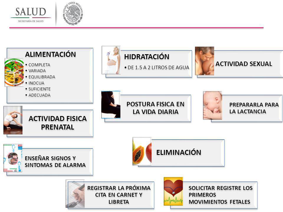 El puerperio ppt alimentacion en